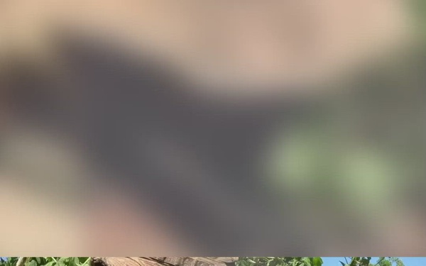Balikatan 2026: U.S. Soldiers, Armed Forces of Philippines conduct jungle training (Reel)
