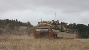 Ivy Mass 1st Battalion, 66th Armor Regiment