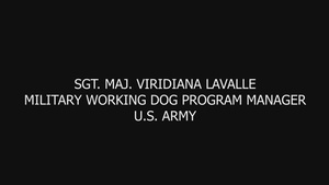 U.S. Soldier discusses the significance of Military Working Dogs