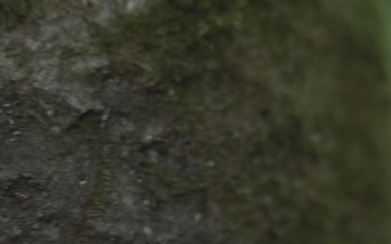 Combined Resolve 26-07