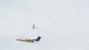 Golden Knights and an Aerobatic Champion Team Up for Airshow Season Training