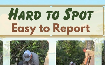 Pythons: Hard to Spot - Easy to Report