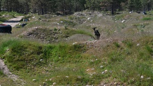 Forging tactical readiness during Iron Ascent