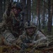 2nd Cavalry Regiment, U.K. Parachute Regiment conduct simulated battlefield operations during the force-on-force phase of Project Flytrap
