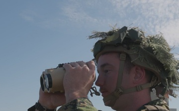 U.S. Marines call for fire during demonstration in Sweden