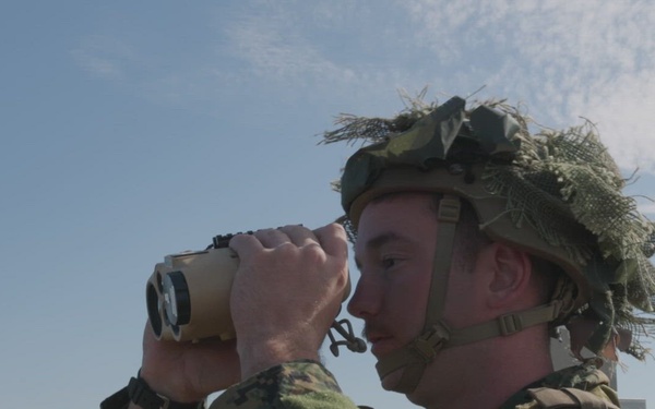 U.S. Marines call for fire during demonstration in Sweden
