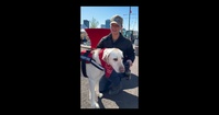 Therapy Dogs Visit Future USS Cleveland During Commissioning Week