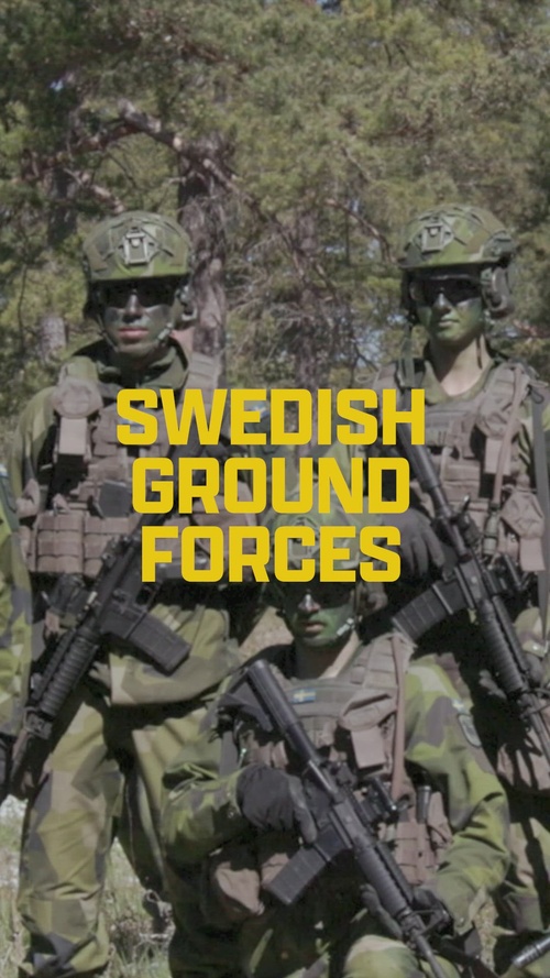 U.S. Marines, Swedish Soldier call for fire from Finnish F-18s