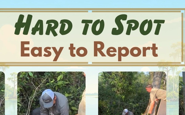 Pythons: Hard to Spot - Easy to Report