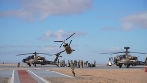 B-roll: African Lion 26 culminated demonstration showcases combined arms readiness, innovation to senior leaders
