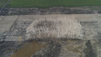EAA Controlled Construction Detonation