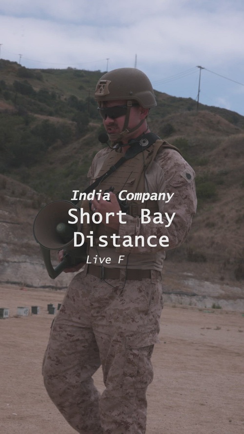 India Company Conducts Daytime Short Bay Live Firing (Reel)
