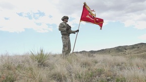 Ivy Mass: 3-29 FA Paladin Final Training Exercise
