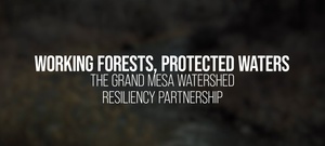 Grand Mesa Watershed Resiliency Partnership