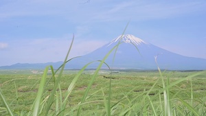 HIMARS Exercise, Camp Fuji B-Roll