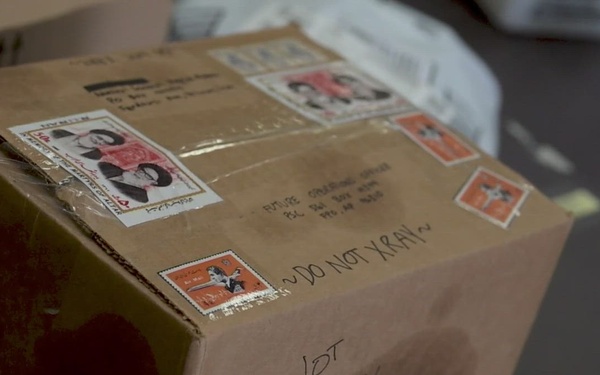 Suspicious Package Exercise, Marine Corps Air Station Iwakuni, Japan, 2026 (B-Roll)