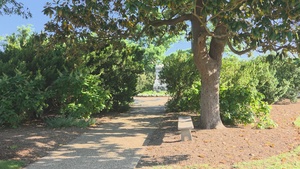 Arlington National Cemetery