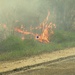 Arnold AFB Natural Resources completes successful prescribed burn season