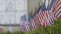 Flags In 2026 - Arlington National Cemetery and Soldiers' and Airmen's National Cemetery