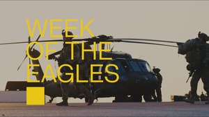 101st Airborne Division Concludes Southern Border Mission, Honors Legacy During Week of the Eagles