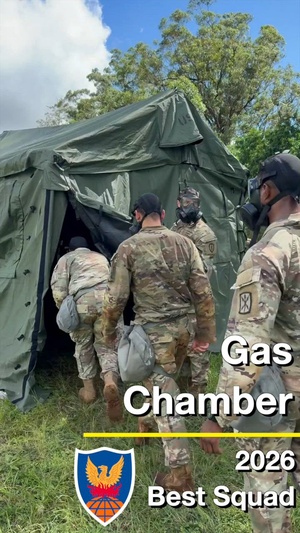 Gas Chamber – Best Squad 2026