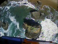 Coast Guard rescues hiker from cliff on God's Thumb in Lincoln City, Oregon