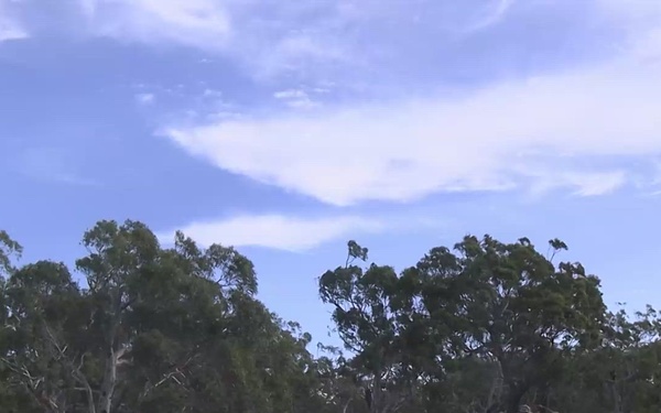 B-Roll: Wallaby Walk 26: U.S. Marines, ADF soldiers practice demolition drills