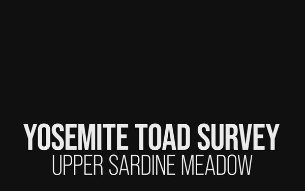 Yosemite Toad Survey