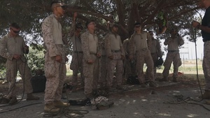 B-Roll: Marines with V2/5 and 3rd LAR Conduct EOTG TRAP Course