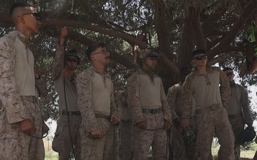 B-Roll: Marines with V2/5 and 3rd LAR Conduct EOTG TRAP Course
