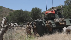 B-Roll: Marines with V2/5 and 3rd LAR Conduct EOTG TRAP Course