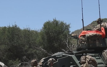 B-Roll: Marines with V2/5 and 3rd LAR Conduct EOTG TRAP Course