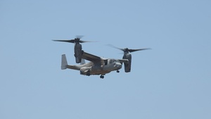 B-Roll: Marines with V2/5 and 3rd LAR Conduct EOTG TRAP Course
