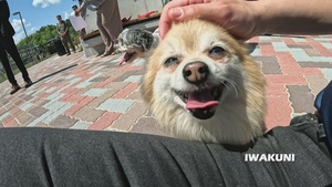 Atago Dog Park Grand Opening, MCAS Iwakuni, Japan, 2026
