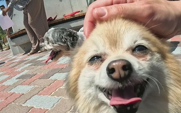 Atago Dog Park Grand Opening, MCAS Iwakuni, Japan, 2026