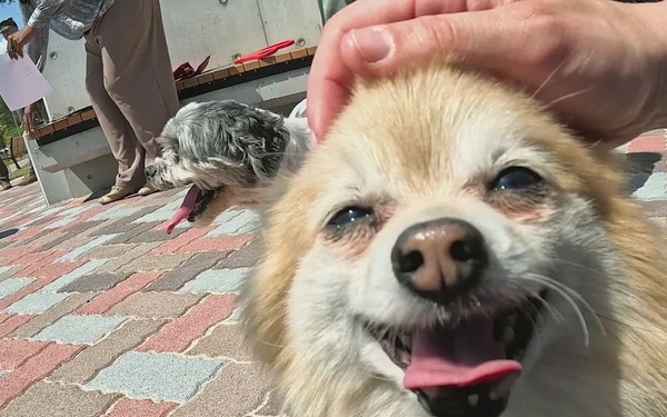 Atago Dog Park Grand Opening, MCAS Iwakuni, Japan, 2026