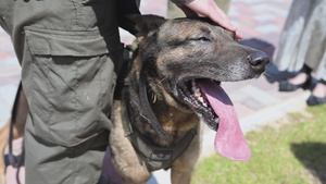 Atago Dog Park Grand Opening, MCAS Iwakuni, Japan, 2026 (B-Roll)