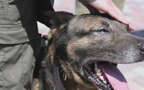 Atago Dog Park Grand Opening, MCAS Iwakuni, Japan, 2026 (B-Roll)
