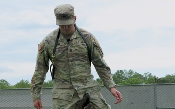 Going off leash: K-9 York Award-winning military working dog to retire at Fort Knox
