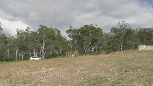 B-Roll: Wallaby Walk 26: U.S. Marines, ADF soldiers practice demolition drills
