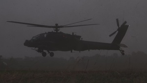 Cognitive Flight Advantage