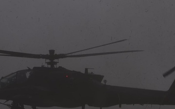 Cognitive Flight Advantage