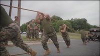 HQ Bn, TECOM Field Meet: Reel