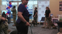 The USO Hosts a Dogs and Paws Event to Celebrate Sail 250 New Orleans
