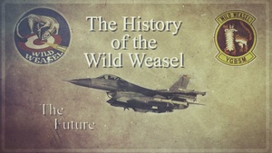 Wild Weasel History: The Future
