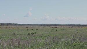 U.S. Army 12 Combat Aviation Brigade and 41st Field Artillery Brigade conducts a combined live fire exercise with 14 different partner nations.