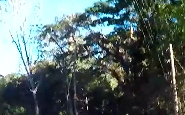 Social 9x16: Balikatan 2026 Pt. 2 - Jungle Operations Training Course Reel