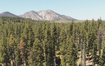 Aerial Views from Fallen Leaf Lake