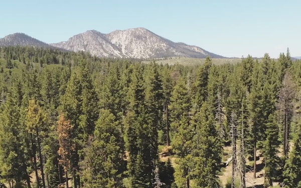 Aerial Views from Fallen Leaf Lake
