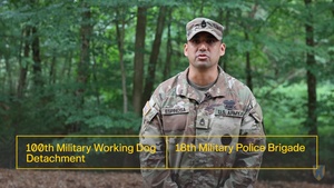 Restoration, Modernization of Miesau Military Working Dog Kennel